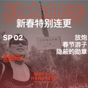SP02 过年连更:放炮,春节游子,隐蔽的勋章