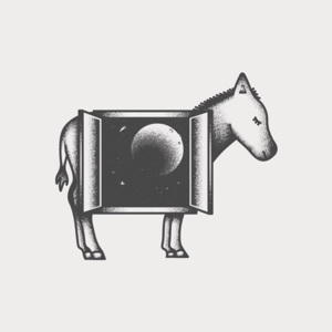 为什么不担心 20220706｜#187