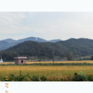 vol.10 聊天局：秋天就适合在树下，躺着聊天