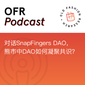 对话 SnapFingers DAO ，熊市中 DAO 如何凝聚共识？