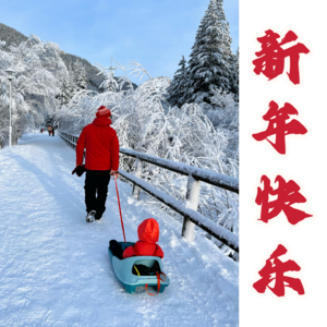 2024年只许一个愿：被真和爱驱动着"活"【如我所是】