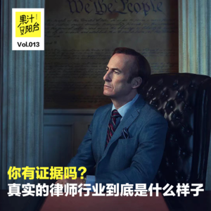 Vol.013 你有证据吗?真实的律师行业到底是什么样子?