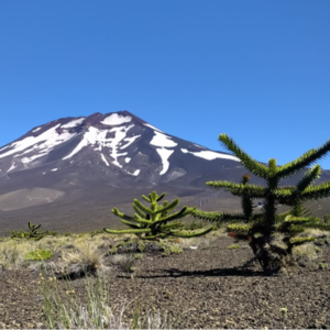 S1E3-吾乡巴黎-深耕音乐剧的斜杠博士