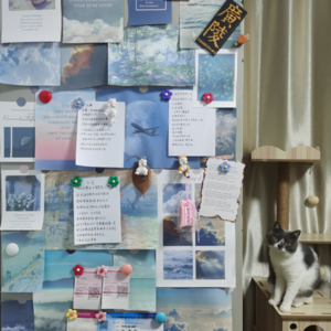 19 - 爱人先爱己，我决定主动给予自己幸福