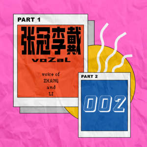 张冠李戴002：来喝一碗彩虹鸡汤