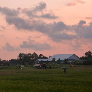 Vol.71 33岁做完了人生主线，我才发现这是一个开放世界游戏 | 疗愈之悟下集