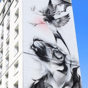 涂鸦艺术家Satr采访 法语朗读