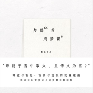 Vol.5 读诗 | 周梦蝶《梦蝶66首》“虹断霞飞 她已纷纷化为蝴蝶”