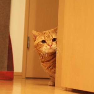 V. 小赵离职记 III —— 集齐14个签名的神秘任务