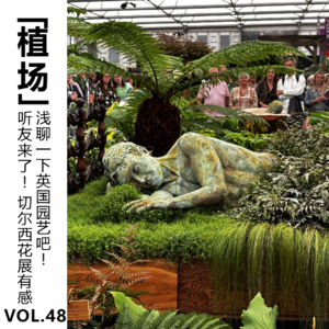 Vol.48 听友来了！切尔西花展有感：浅聊一下英国园艺吧！