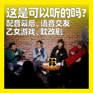 71. 这是可以听的吗？配音幕后、语音交友、乙女游戏、耽改剧