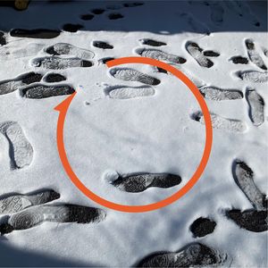 Vol.26 对话梁鸿：乡村女性应该拥有姓名，你不要忘记她