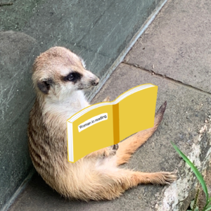 04.文字代替不了见面，主动创造出女性阅读的无限可能