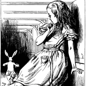 18. 纵浪大化中:刘易斯·卡罗尔《爱丽丝漫游奇境》