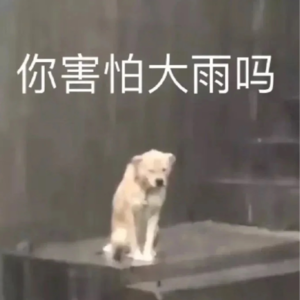 [21]做个城市野人，在大雨中赤脚漫步