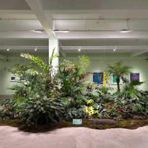 61 送你一份祛烧驱咳的冬日歌单