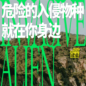 08 流浪猫狗、放生祈福、小龙虾经济与物种入侵 | 对谈冉浩