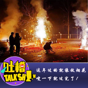 这年过的就像放烟花，嗖一下就过完了！[吐槽脱口秀]