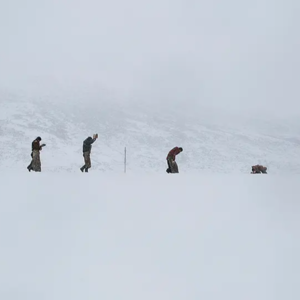 93. 即使没有草原，也别忘了你是马