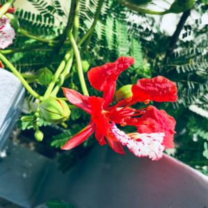 #EP 18 QE Channel 直到世界尽头