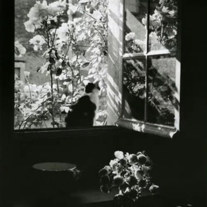 李也适的诗：雨也是自我的一种抖动