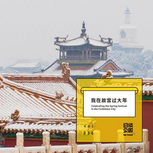 vol.336 我在故宫过大年
