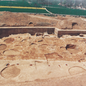 首发TALK | 许宏：考古学是一门遗憾的学问