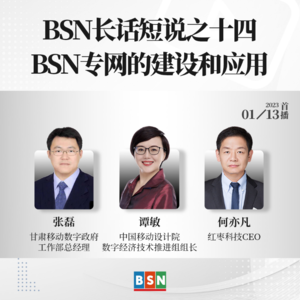 BSN长话短说之十四：BSN专网的建设和应用