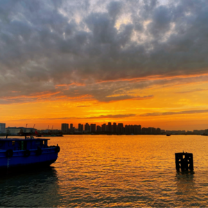 贺新郎·睡起流莺语·叶梦得