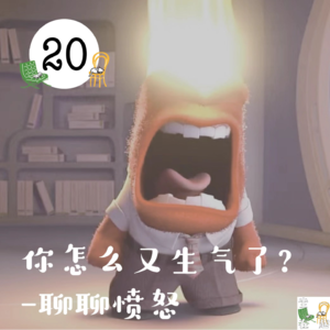 20.你咋又生气了？聊聊愤怒和情绪化