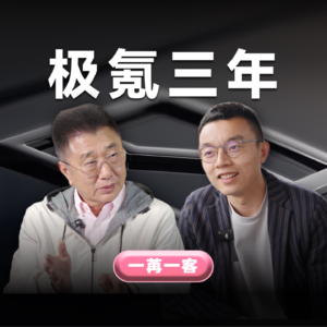 极氪三年：一个巨型汽车集团的经济特区