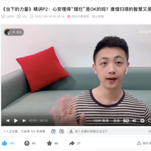 心安理得“摆烂”是OK的吗？如何维持内心秩序？“起点低、当下净、回头脏、平常道”《当下的力量》P2