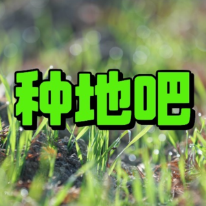 EP2:【种地吧】为什么是电子榨菜?