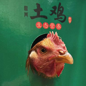 机械降神也救不了文娱届青黄不接 【六根不净】Vol. 055