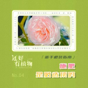 Vol.04新手避坑指南：施肥，是必选项吗