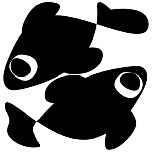 ::第{贰}期::>>[…*鲤鱼*…] #我是时空旅行的女巫