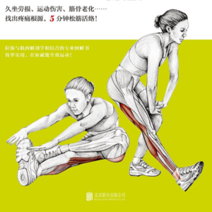 49. S3E06 拉伸的知识入门