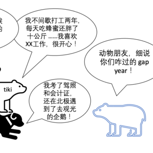 06 新手教程:一头熊想过 gap year?!