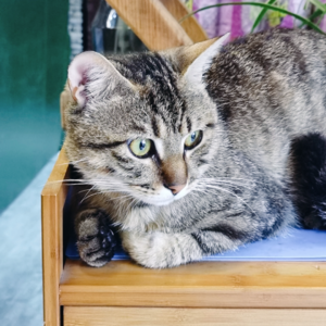 EP08. 杭州游记记记