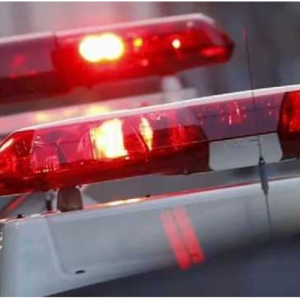 【0526】長野 中野 猟銃