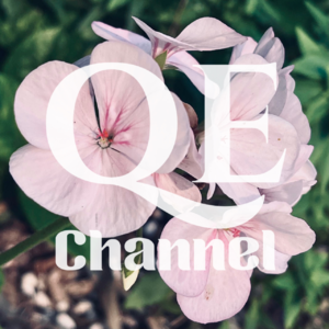 #EP 23 QE Channel 让子弹再飞一会