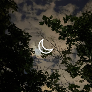 02.月亮掉到夜风里。