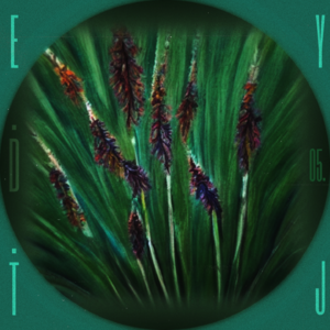 音景系列05：春暖 ၕ