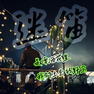 6.迷笛-是啤酒花里我们吐出的野马