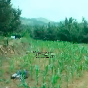 “偿”命百岁：一个苹果引发的血案