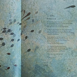 【为你读诗】day 21：Commas & Miracle (蝌蚪两首）