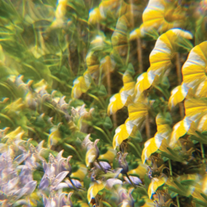 不失眠电台Vol.49 | 暴雨过后,平复心境