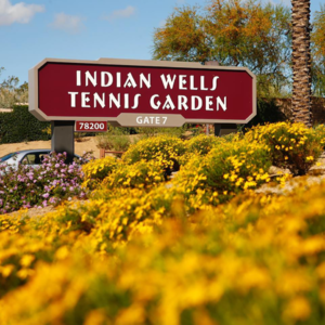 EP.85 和彭七跨洋连线 漫谈阳光双赛