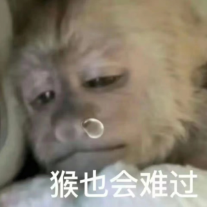 很高兴认识你,我的不扫兴朋友