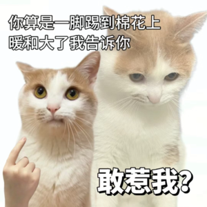vol.10 行走江湖，谁还没几个讨厌的人啊！
